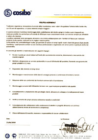 politica aziendale
